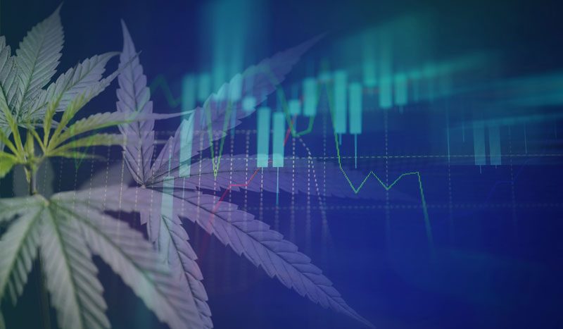 Economics of cannabis